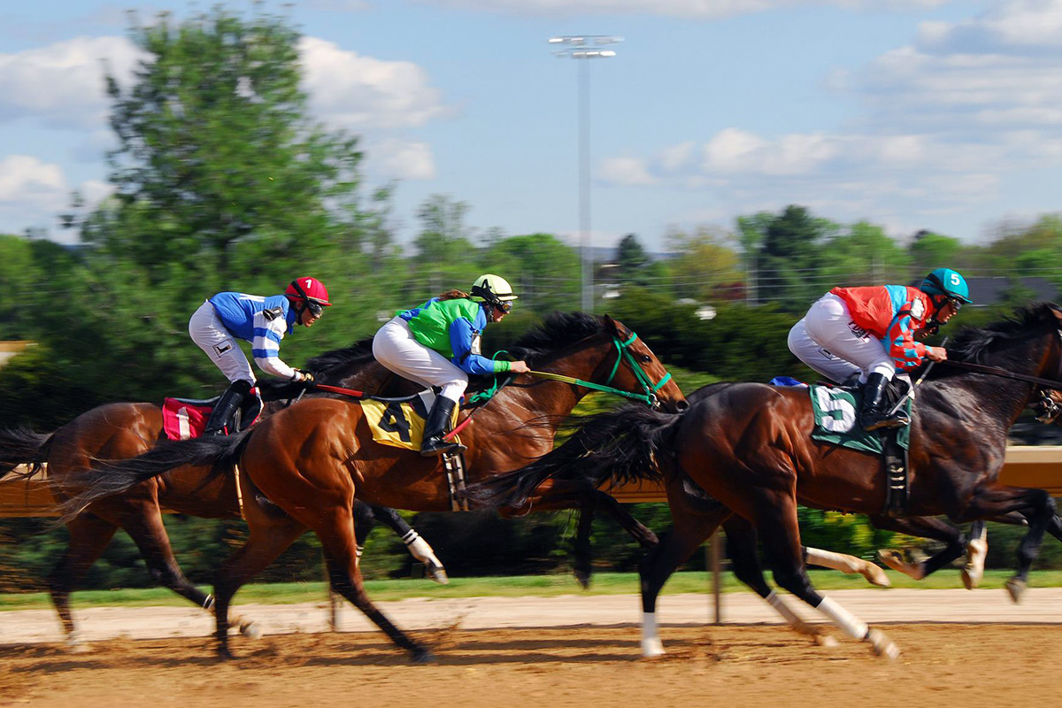 OFF TRACK BETTING